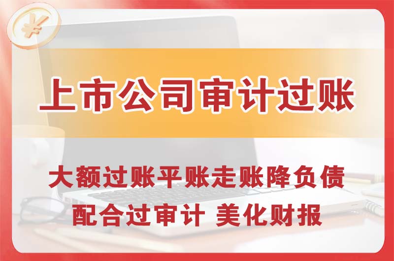 丽水上市公司审计过账